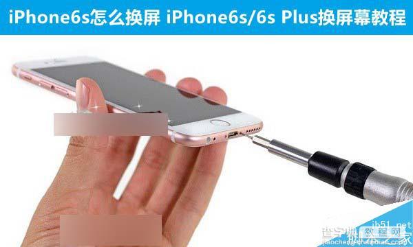 iPhone 6s/6s Plus换屏多钱？iPhone 6s/6s Plus怎么换屏？iPhone6s/6s Plus换屏教程1