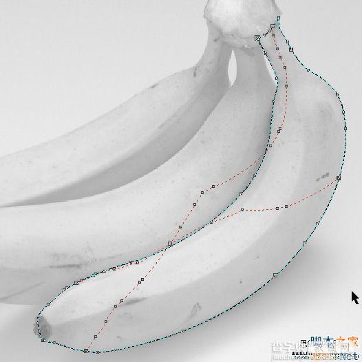 CorelDraw(CDR)利用网格工具模仿制作逼真香蕉实例教程详解2