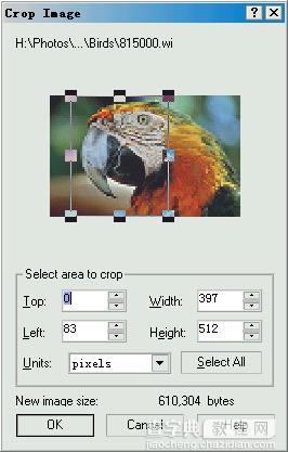 CorelDRAW 导入时Crop(修剪)位图和导入Resample位图介绍2