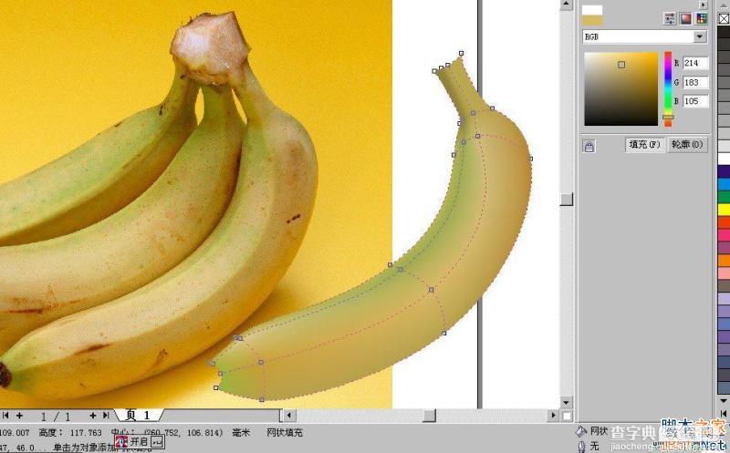 CorelDraw(CDR)利用网格工具模仿制作逼真香蕉实例教程详解15