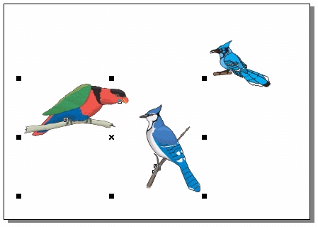 CorelDRAW 选取及填充对象的方法和具体操作步骤5