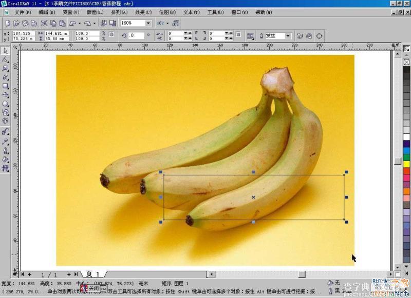 CorelDraw(CDR)利用网格工具模仿制作逼真香蕉实例教程详解1