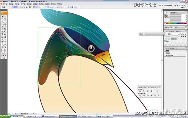 Illustrator绘制中国花鸟画矢量图教程17