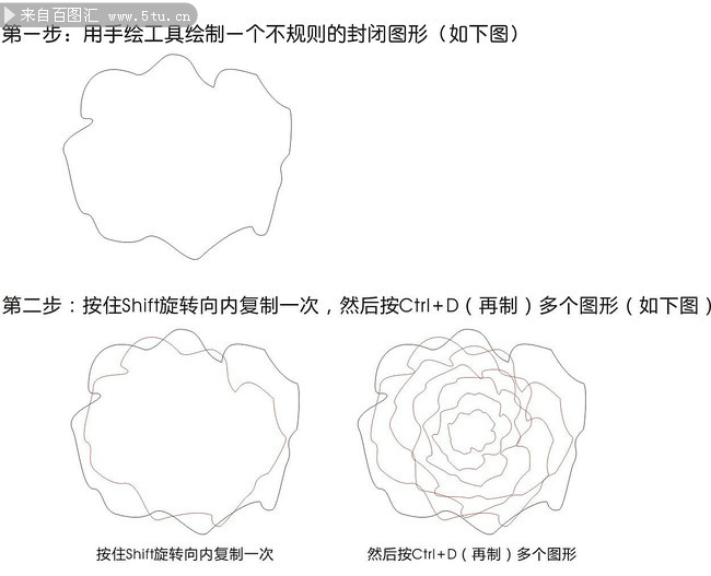 CDR绘制逼真的牡丹花1