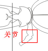 CDR绘制卡通天牛插画教程6