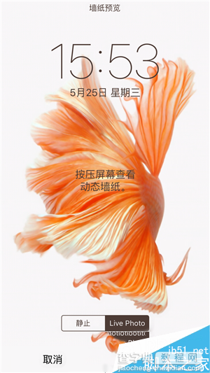 iPhone6s动态壁纸不动怎么回事 iPhone6s动态壁纸不动的解决办法3