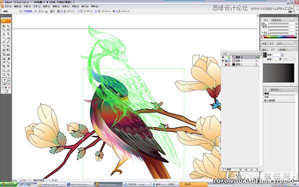 Illustrator绘制中国花鸟画矢量图教程27