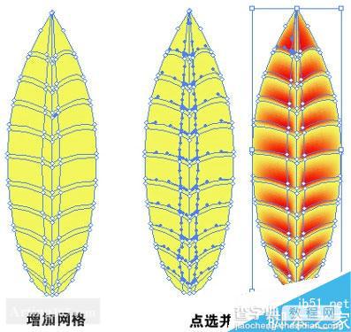 AI利用渐变网格工具制作叶片3