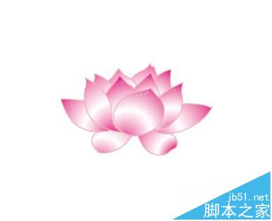 AI怎么画漂亮的莲花? ai绘制逼真荷花的图文教程5