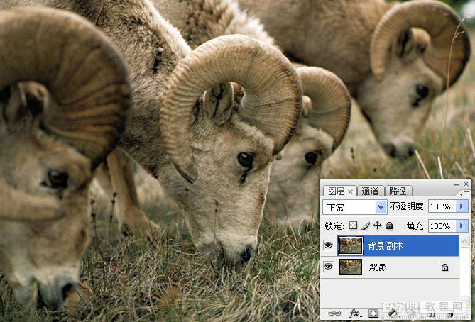 photoshop锐化技术知识学习15