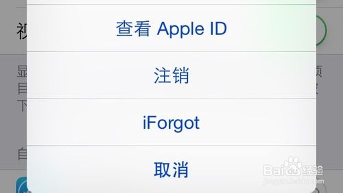 iphone手机没有itunes store怎么办？5