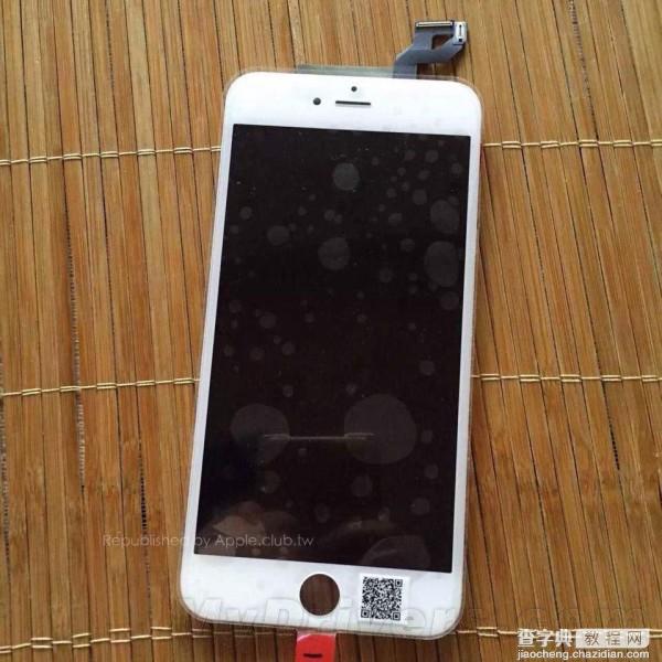 (图)白色版苹果iPhone 6S Plus屏幕首曝光 面板背部有神秘芯片1