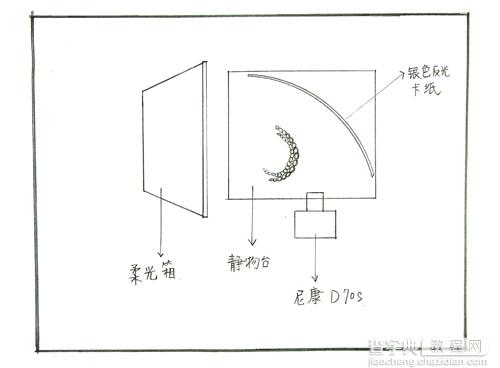 金色项链真假难分——首饰拍摄技巧14