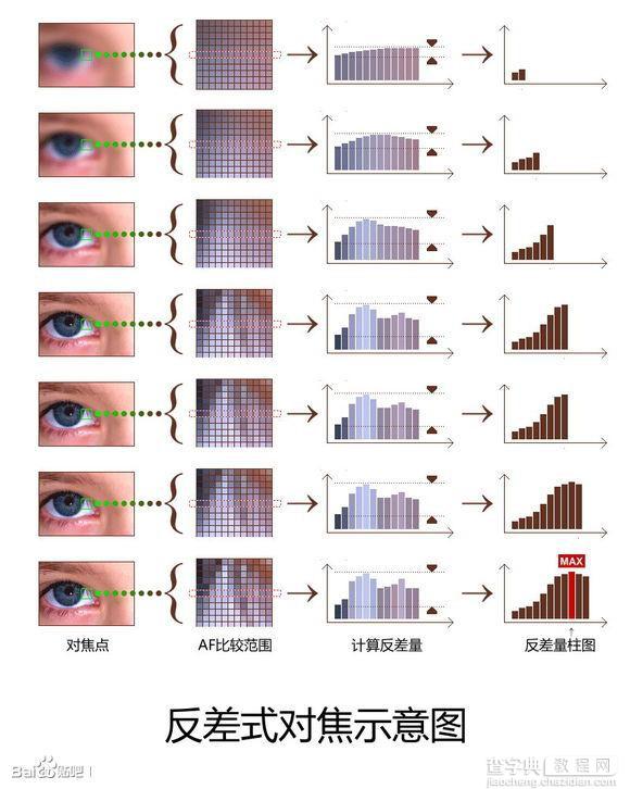 什么因素决定了手机拍照效果?最常见的几种用于手机上的对焦技术3