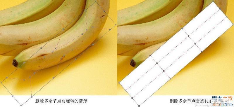 CorelDraw(CDR)利用网格工具模仿制作逼真香蕉实例教程详解5