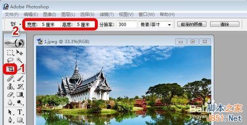 用Photoshop如何裁剪图片呢?8