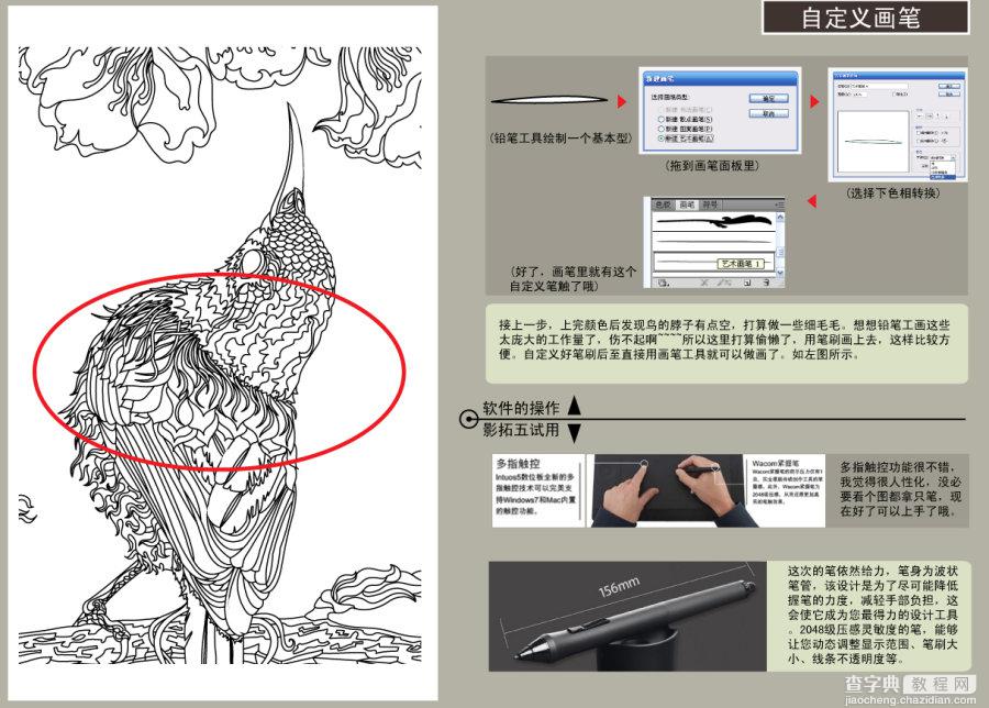 AI结合数位板绘制漂亮翠鸟插画过程解析5