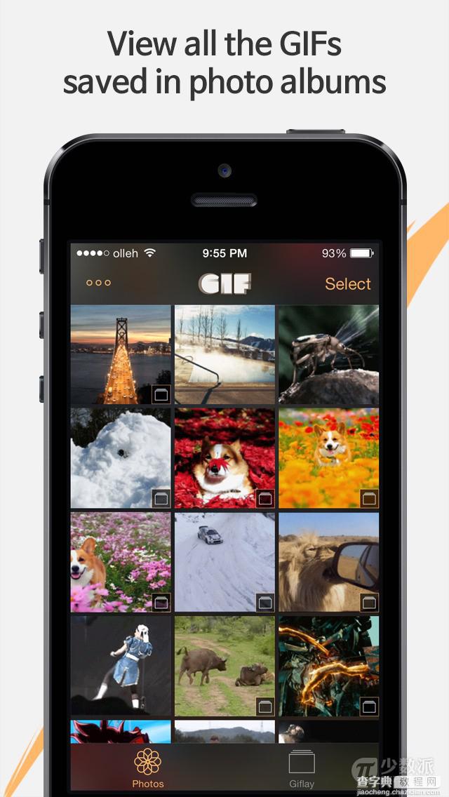 Giflay，可以在 iOS 上看 GIF 动图的相册1