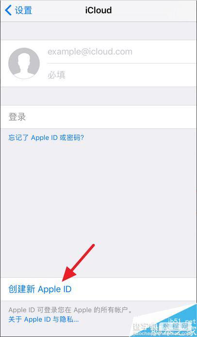 iPhone7怎么注册Apple ID 苹果7/plus注册Apple ID的方法2