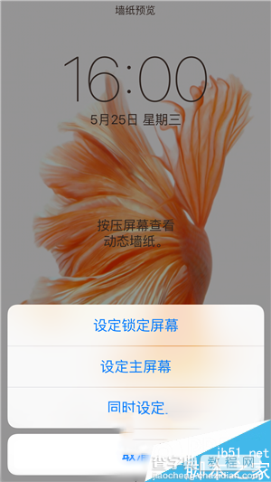 iPhone6s动态壁纸不动怎么回事 iPhone6s动态壁纸不动的解决办法4