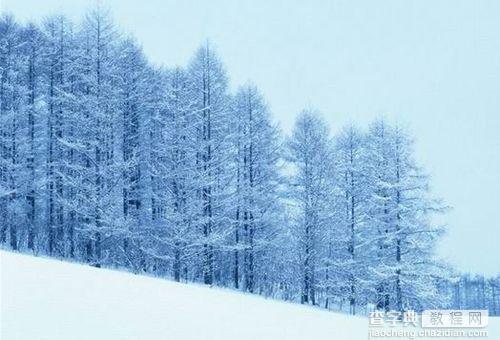 冬季拍摄冰雪场景的技巧有哪些？1