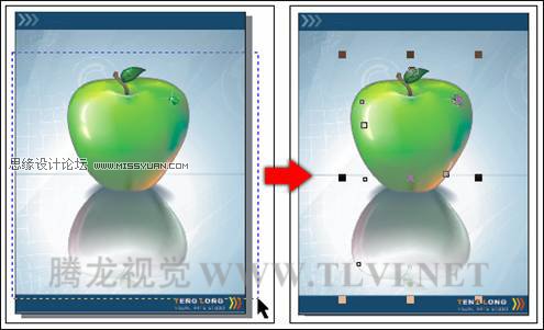 在CorelDRAW中的对象概述与选择对象技巧图解8