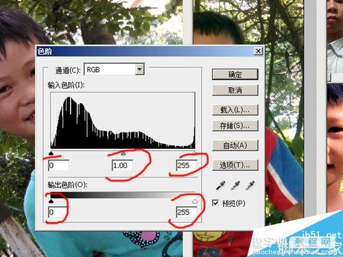 PS在一张4R纸上制作出多个尺寸和多张生活照的证件照片5