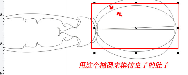 CDR绘制卡通天牛插画教程4