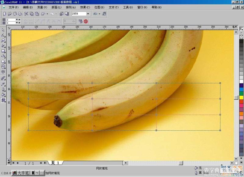 CorelDraw(CDR)利用网格工具模仿制作逼真香蕉实例教程详解3