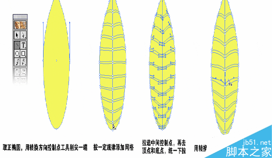 AI利用渐变网格工具制作叶片2