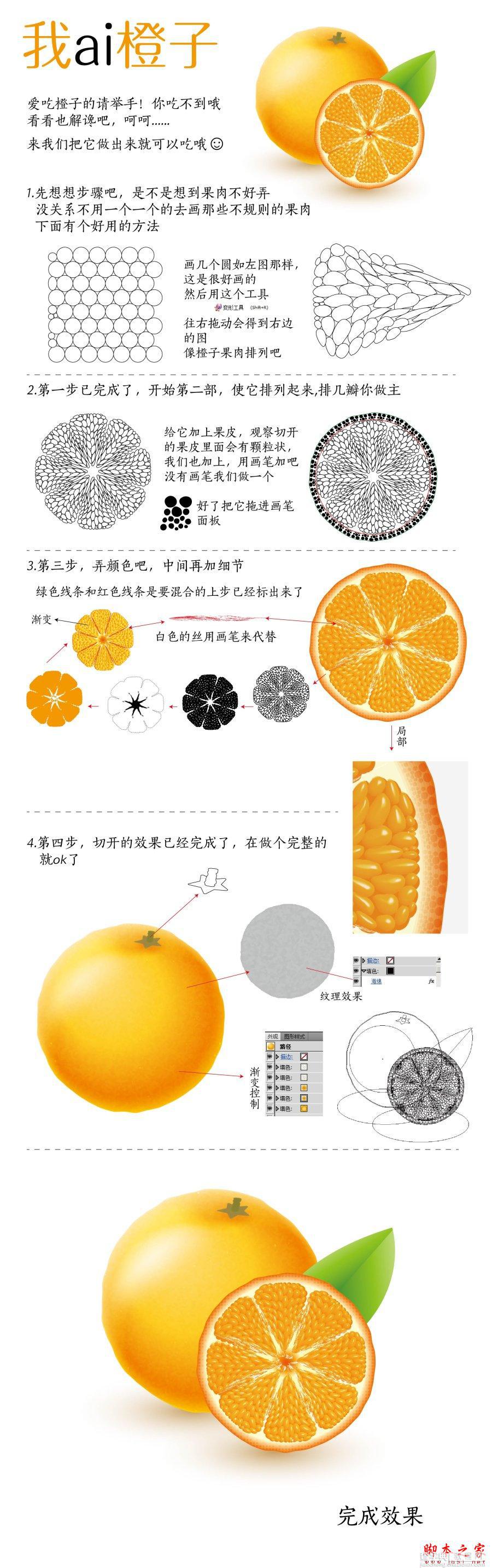 AI绘制逼真的黄色橙子果肉教程1