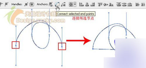 AI CS3的优越改进 锚点显示基础教程8