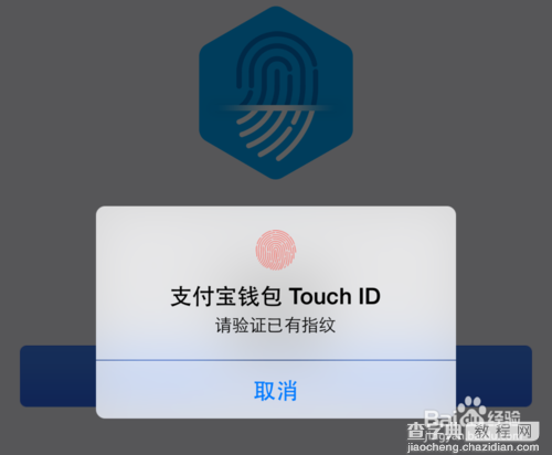 苹果支付宝指纹怎么用?iPhone支付宝指纹支付的方法9