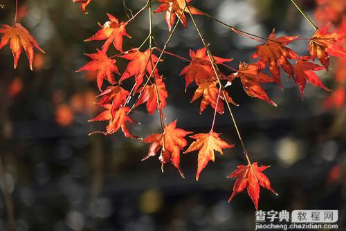 盘点旅游摄影常犯的十个错误 只要不犯就出好片4