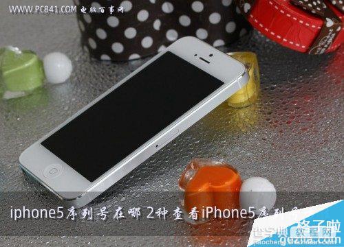 iphone5序列号在哪里?2种iPhone5序列号查询方法介绍1