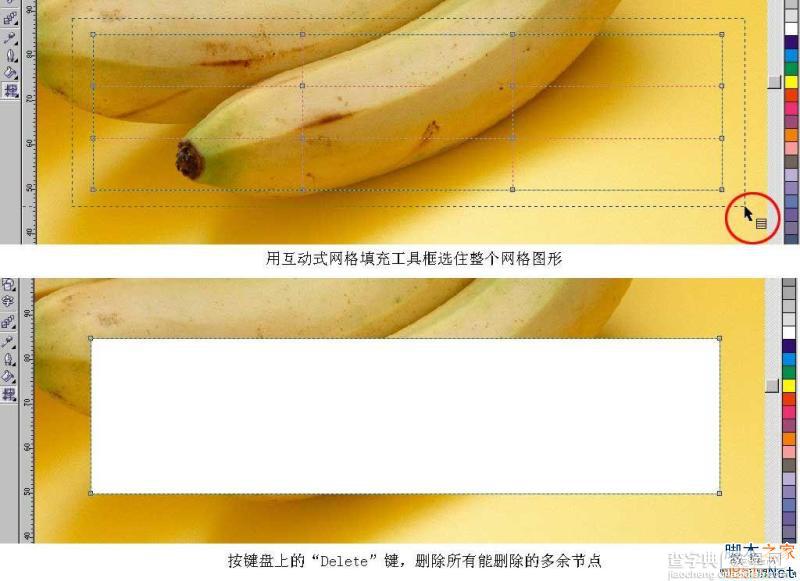 CorelDraw(CDR)利用网格工具模仿制作逼真香蕉实例教程详解4