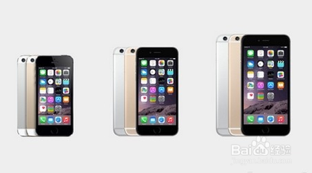 iPhone6和iPhone6 Plus有什么区别和相同之处?6