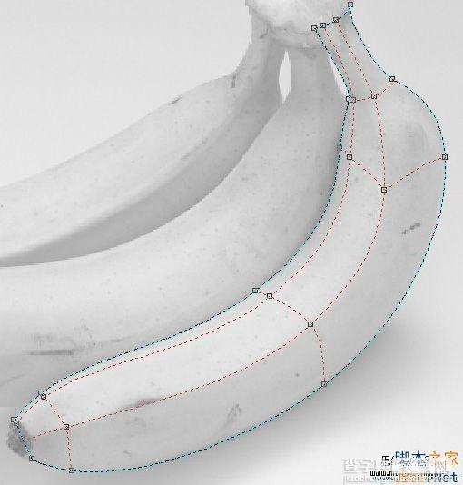 CorelDraw(CDR)利用网格工具模仿制作逼真香蕉实例教程详解13