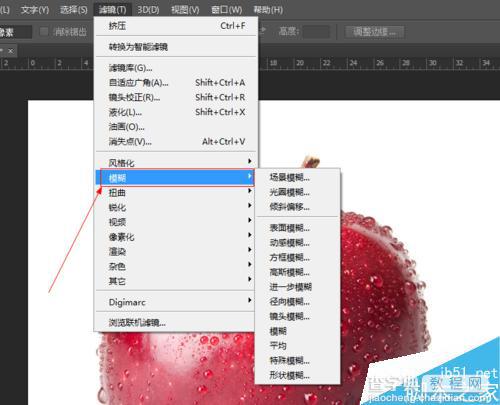 入门:photoshop进一步模糊滤镜使用方法5