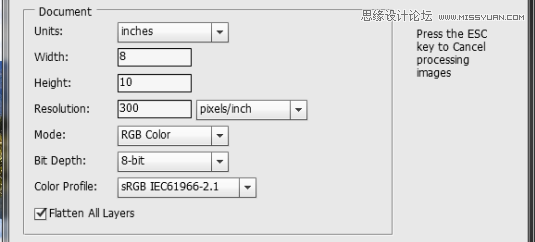 PS不为人知功能:Photoshop的联系表工具的使用方法图文解析7