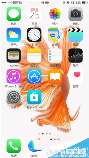 iPhone6s动态壁纸不动怎么回事 iPhone6s动态壁纸不动的解决办法5