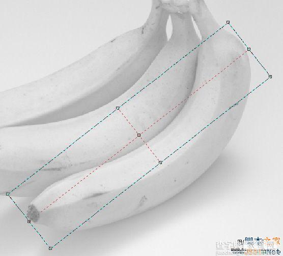 CorelDraw(CDR)利用网格工具模仿制作逼真香蕉实例教程详解8