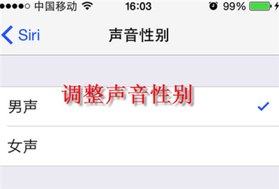 iphone怎么修改siri声音 苹果ios8更换siri性别语言声音教程3