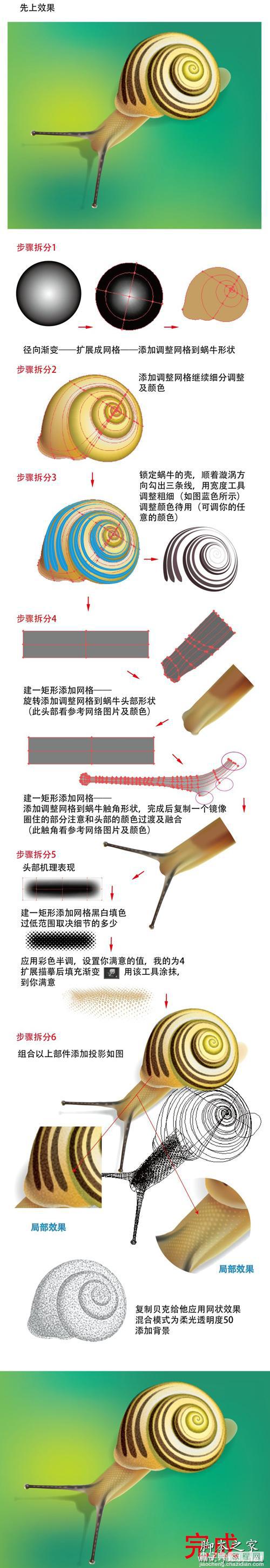 Illustrator教你绘制立体效果的蜗牛教程1