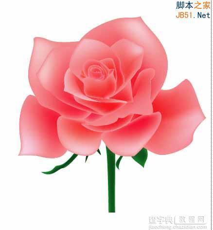 Illustrator(AI)利用渐变网格工具来设计制作漂亮的粉红色玫瑰花实例教程6