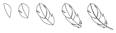 AI简单绘制漂亮的羽毛方法介绍2