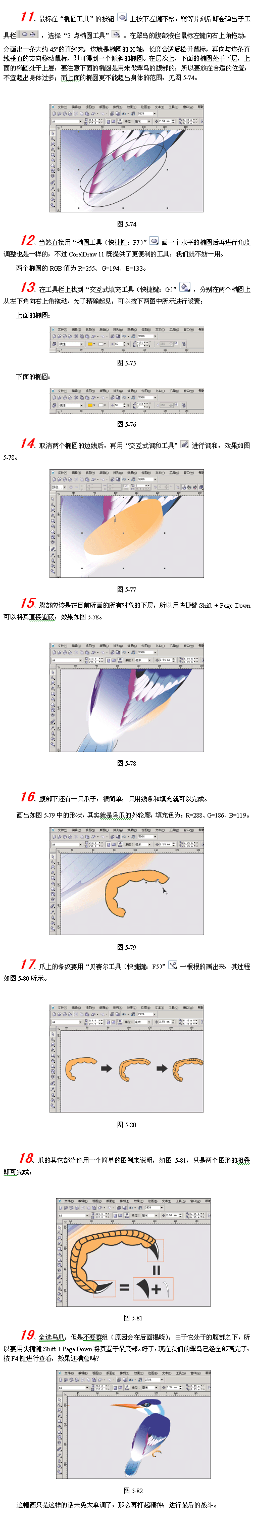 CorelDraw(CDR)模仿绘制出逼真的翠鸟实例教程7