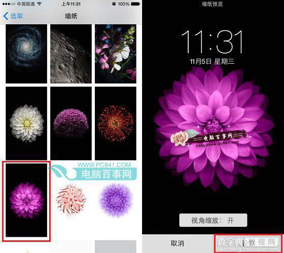 iPhone6 Plus壁纸怎么设置让iPhone6 Plus界面不再单调3