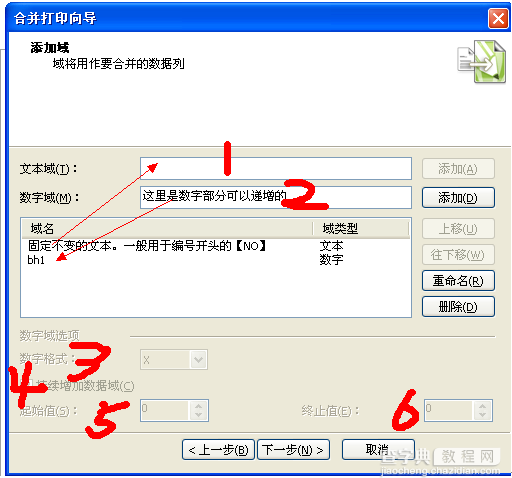 CDRx4自动编号（合并打印）图文介绍4