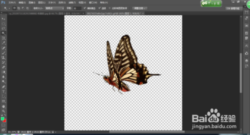 photoshop cs6魔棒工具使用技巧详解3